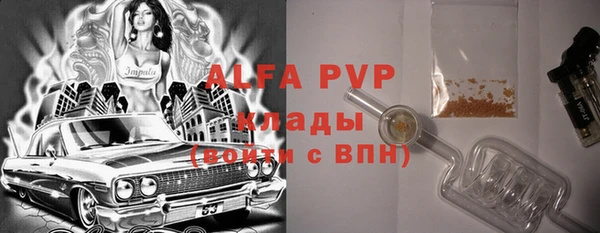 стафф Корсаков