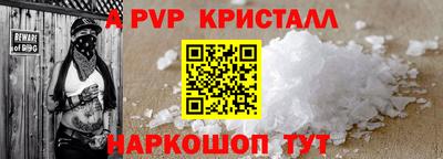 ешки Кингисепп