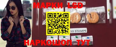 ешки Кингисепп
