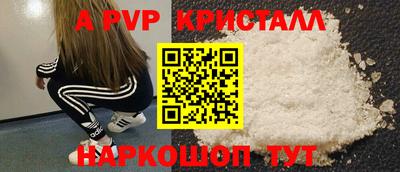 ешки Кингисепп