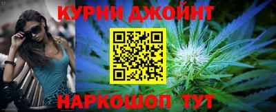 ешки Кингисепп