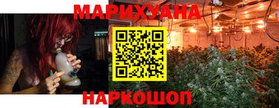 ешки Кингисепп