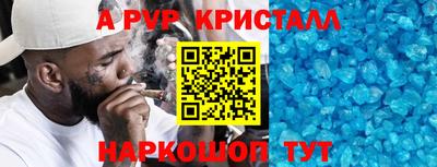 ешки Кингисепп