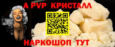 ешки Кингисепп