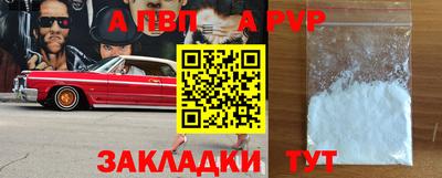 ешки Кингисепп