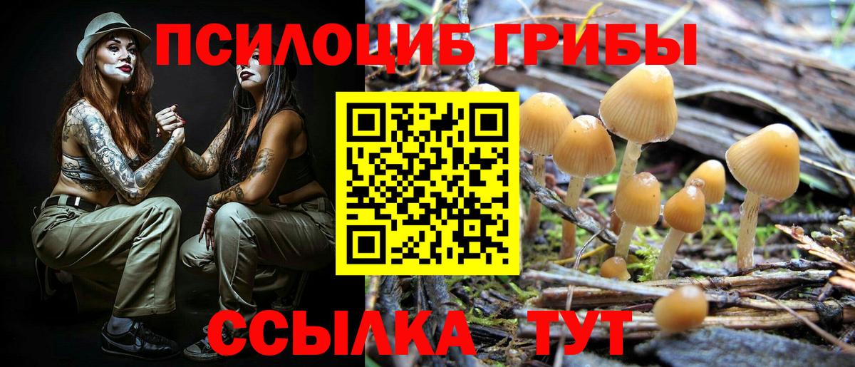 Псилоцибиновые грибы ЛСД Красный Сулин