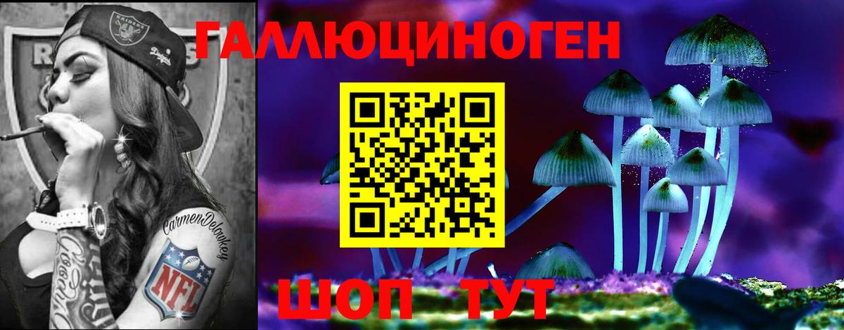 Красный Сулин  Псилоцибиновые грибы Psilocybine cubensis  Вход с VPN 